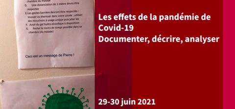 Les effets de la pandémie de Covid-19. Documenter, décrire, analyser